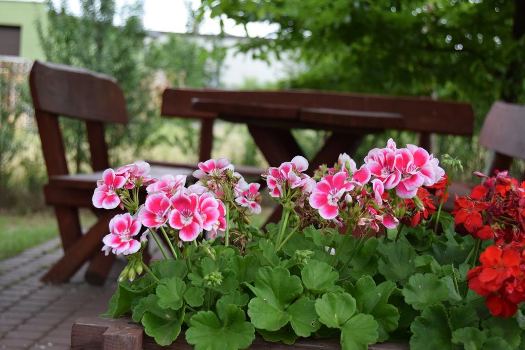 Chata Skrzata Kruszyn  Ngoại thất bức ảnh